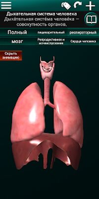 Скачать Внутренние органы в 3D (анатомия) [Unlocked] RUS apk на Андроид