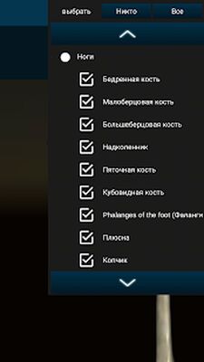 Скачать Osseous System 3D (анатомия) [Без рекламы] RUS apk на Андроид