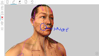 Скачать Visual Acupuncture 3D [Premium] RU apk на Андроид