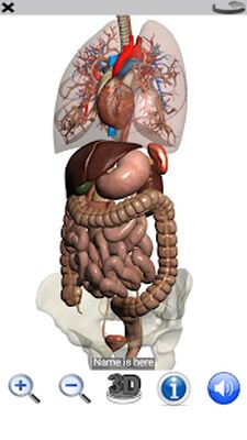 Скачать Visual Anatomy Free [Unlocked] RUS apk на Андроид