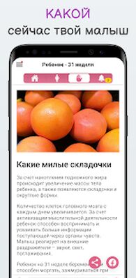 Скачать Беременность по неделям KLO [Premium] RU apk на Андроид