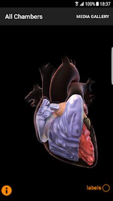 Скачать CardioSmart Heart Explorer [Полная версия] RU apk на Андроид