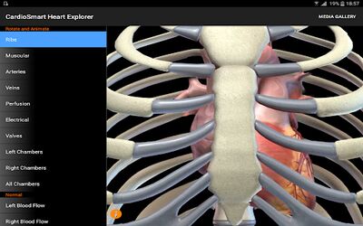 Скачать CardioSmart Heart Explorer [Полная версия] RU apk на Андроид