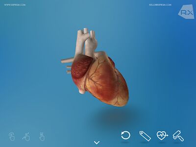 Скачать Heart Explore 3D [Premium] RU apk на Андроид