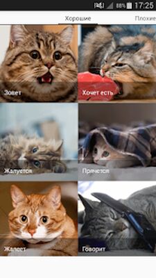 Скачать Звуки котов - поиграй с котами [Premium] RUS apk на Андроид