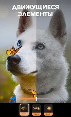Скачать Motionleap от Lightricks [Полная версия] RU apk на Андроид