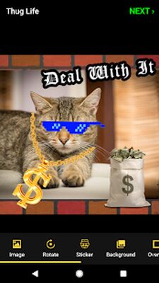 Скачать Наклейки Thug Life: Фоторедактор [Premium] RUS apk на Андроид