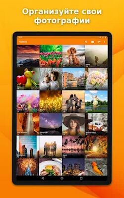 Скачать Простая галерея: Фото менеджер [Без рекламы] RU apk на Андроид