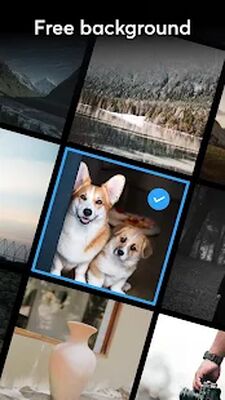 Скачать Text On Photos - Photo Editor [Premium] RU apk на Андроид