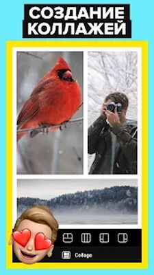 Скачать Photer фоторедактор селфи и лица: ретушь, фильтры [Без рекламы] RU apk на Андроид