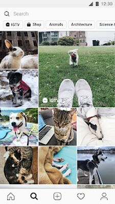 Скачать Instagram [Полная версия] RUS apk на Андроид
