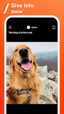 Скачать Reddit [Unlocked] RUS apk на Андроид