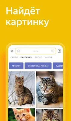 Скачать Яндекс — с Алисой [Premium] RU apk на Андроид