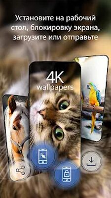 Скачать Красивые обои 4к [Premium] RUS apk на Андроид