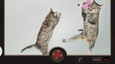 Скачать Эффект замедленной съёмки [Полная версия] RU apk на Андроид