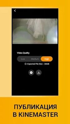 Скачать VideoStabilizer для KineMaster [Unlocked] RUS apk на Андроид