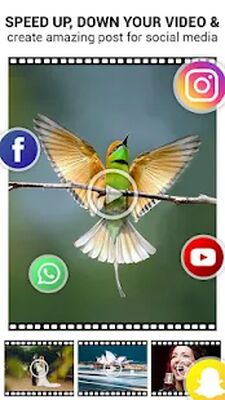 Скачать Скорость смены видео: SlowMo FastMo [Premium] RU apk на Андроид