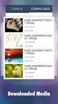Скачать Downloader for Tumblr [Без рекламы] RUS apk на Андроид