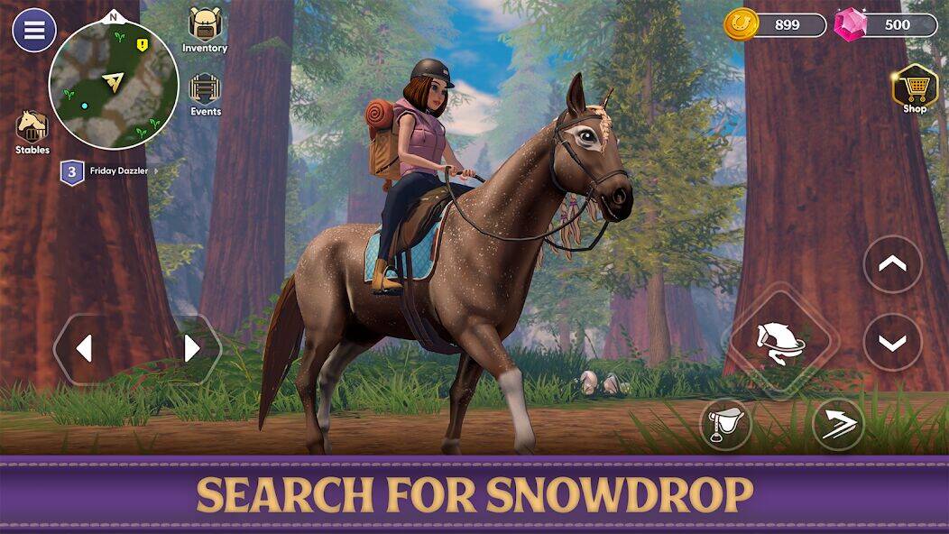 Скачать взломанную Star Equestrian - Horse Ranch [Много монет] MOD apk на Андроид