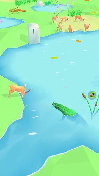 Скачать взломанную Animal Wildlife [Много монет] MOD apk на Андроид