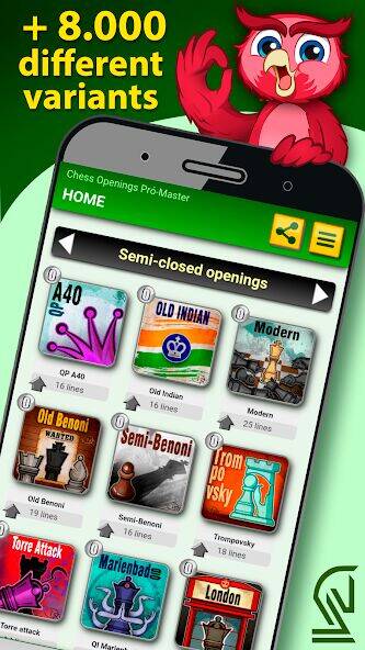 Скачать взломанную Chess Openings Pró-Master [Бесплатные покупки] MOD apk на Андроид