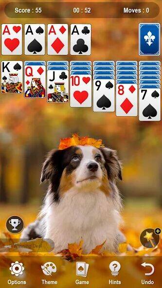 Скачать взломанную Solitaire [Бесплатные покупки] MOD apk на Андроид