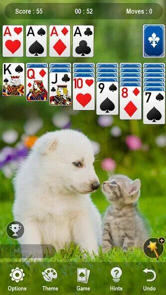 Скачать взломанную Solitaire [Бесплатные покупки] MOD apk на Андроид