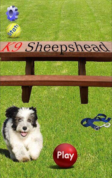 Скачать взломанную K9 Sheepshead (Schafkopf) [Много денег] MOD apk на Андроид