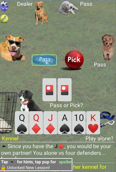 Скачать взломанную K9 Sheepshead (Schafkopf) [Много денег] MOD apk на Андроид