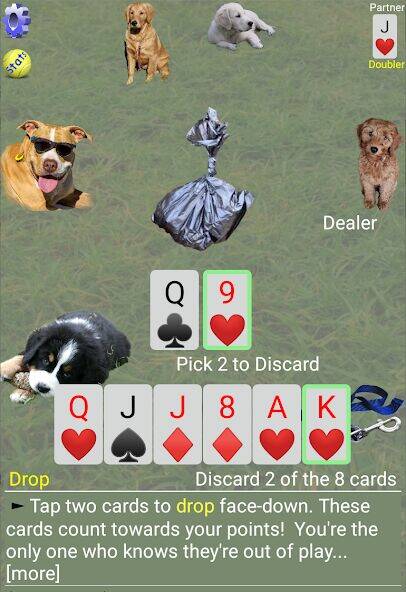 Скачать взломанную K9 Sheepshead (Schafkopf) [Много денег] MOD apk на Андроид