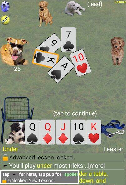 Скачать взломанную K9 Sheepshead (Schafkopf) [Много денег] MOD apk на Андроид