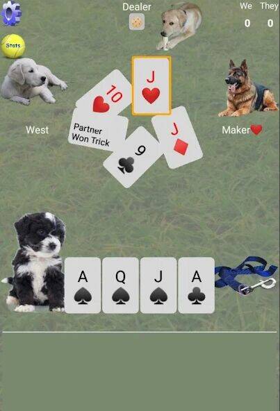 Скачать взломанную K9 Euchre [Много монет] MOD apk на Андроид