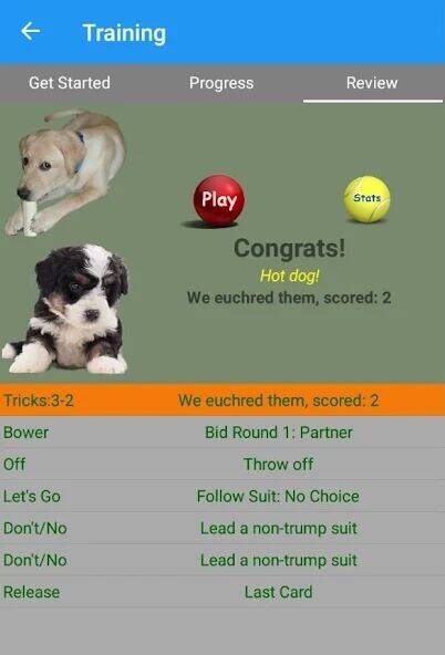 Скачать взломанную K9 Euchre [Много монет] MOD apk на Андроид