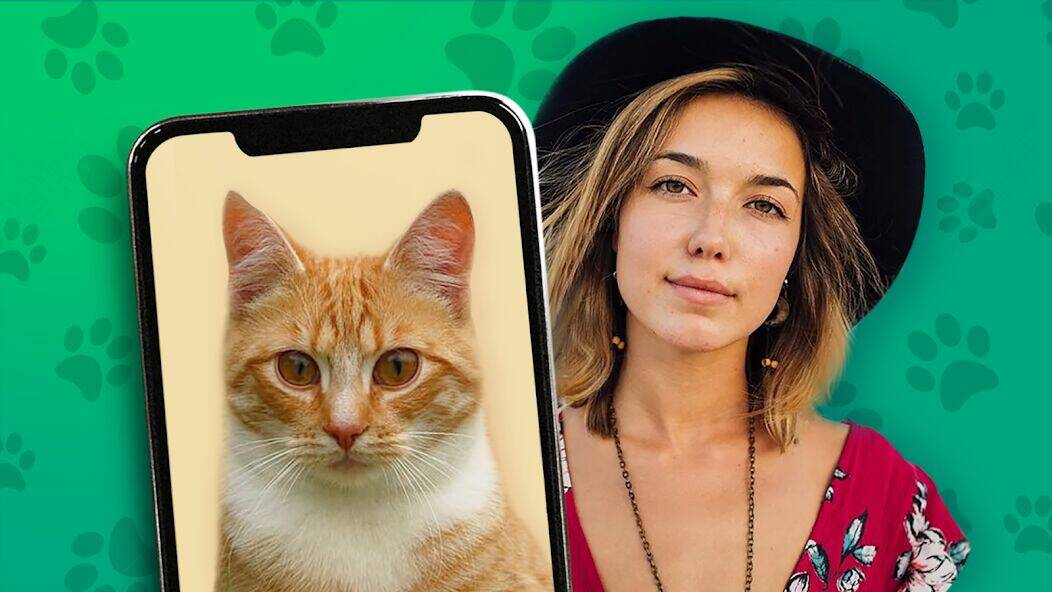 Скачать взломанную Какой ты кот? пранк [Много денег] MOD apk на Андроид