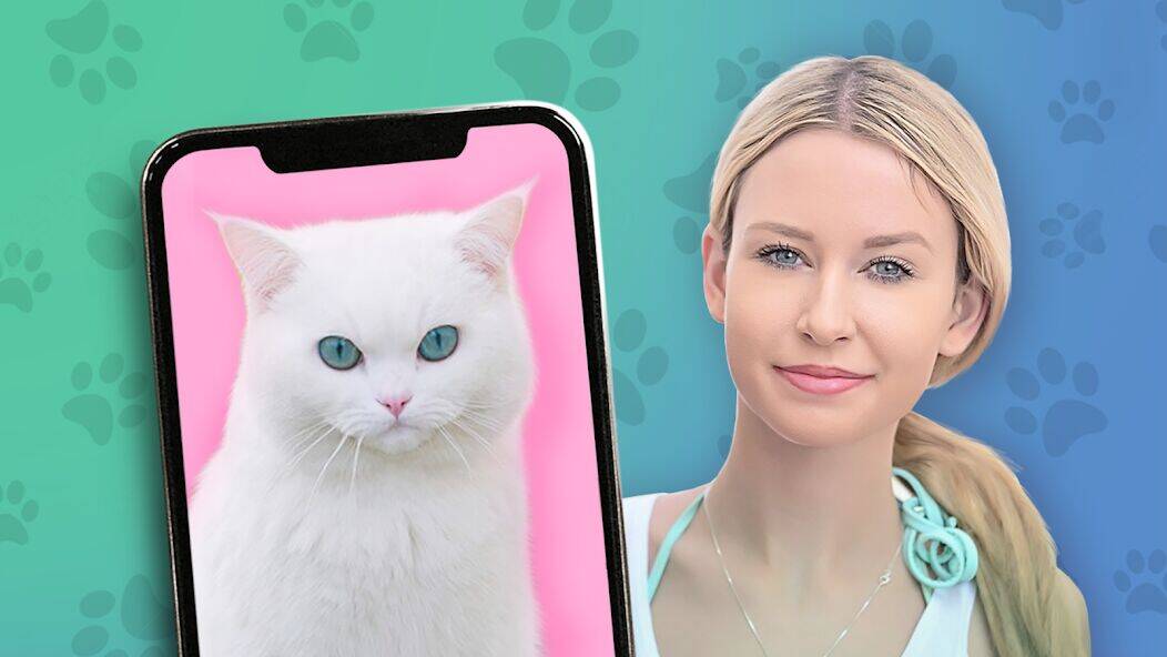 Скачать взломанную Какой ты кот? пранк [Много денег] MOD apk на Андроид