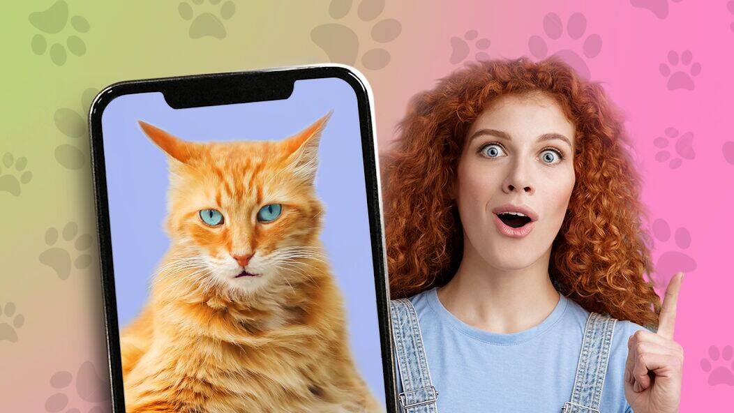 Скачать взломанную Какой ты кот? пранк [Много денег] MOD apk на Андроид