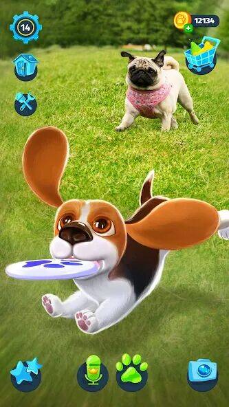Скачать взломанную Tamadog: Моя Собака AR Питомец [Много денег] MOD apk на Андроид