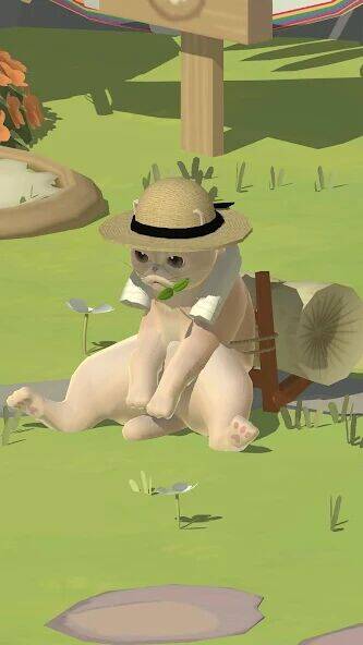 Скачать взломанную Кошачий курорт [Бесплатные покупки] MOD apk на Андроид