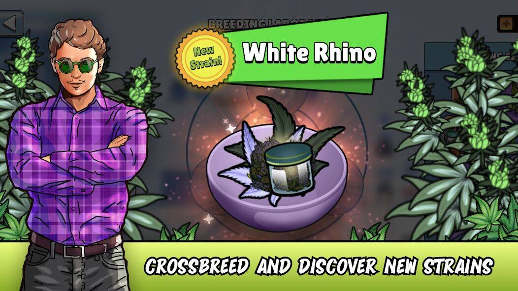 Скачать взломанную Weed City - Hemp Farm Tycoon [Бесплатные покупки] MOD apk на Андроид