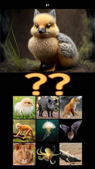 Скачать взломанную Hybrid Animals Crazy Lab Quiz [Много денег] MOD apk на Андроид
