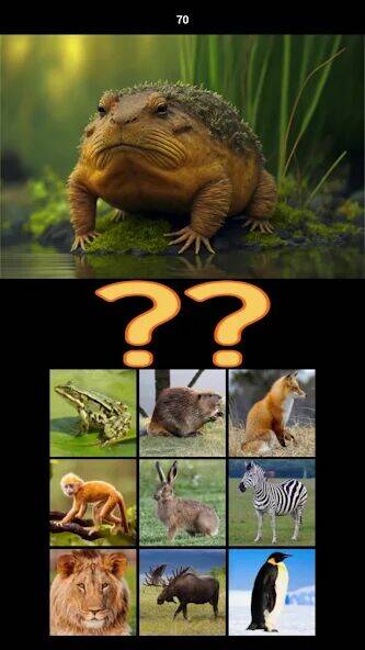 Скачать взломанную Hybrid Animals Crazy Lab Quiz [Много денег] MOD apk на Андроид