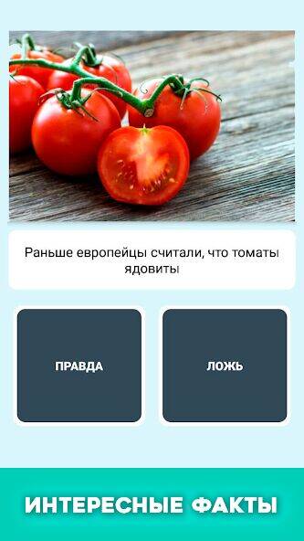 Скачать взломанную Правда или ложь - вопрос ответ [Мод меню] MOD apk на Андроид