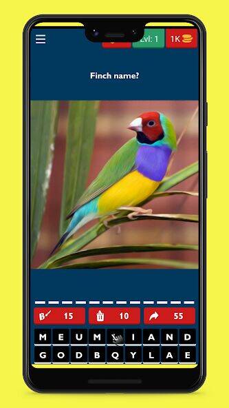 Скачать взломанную Bird Guess Fun Feather Trivia [Много денег] MOD apk на Андроид