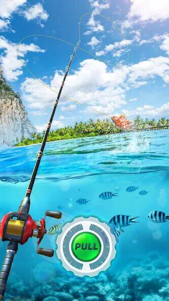 Скачать взломанную Fishing Rival 3D [Много денег] MOD apk на Андроид