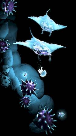 Скачать взломанную Seashine [Много денег] MOD apk на Андроид