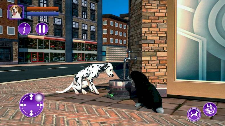 Скачать взломанную Собака Pet Husky Animal [Много монет] MOD apk на Андроид