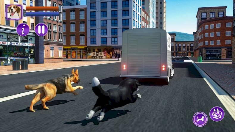 Скачать взломанную Собака Pet Husky Animal [Много монет] MOD apk на Андроид