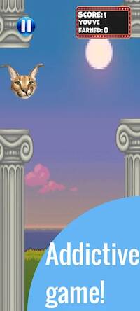 Скачать взломанную Flappy Floppa [Много монет] MOD apk на Андроид