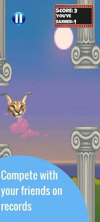 Скачать взломанную Flappy Floppa [Много монет] MOD apk на Андроид