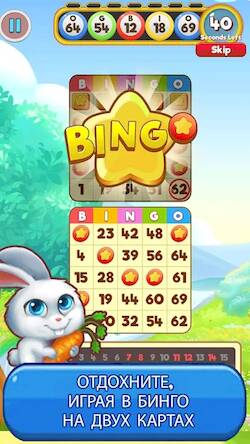 Скачать взломанную Bingo: Free the Pets [Бесплатные покупки] MOD apk на Андроид